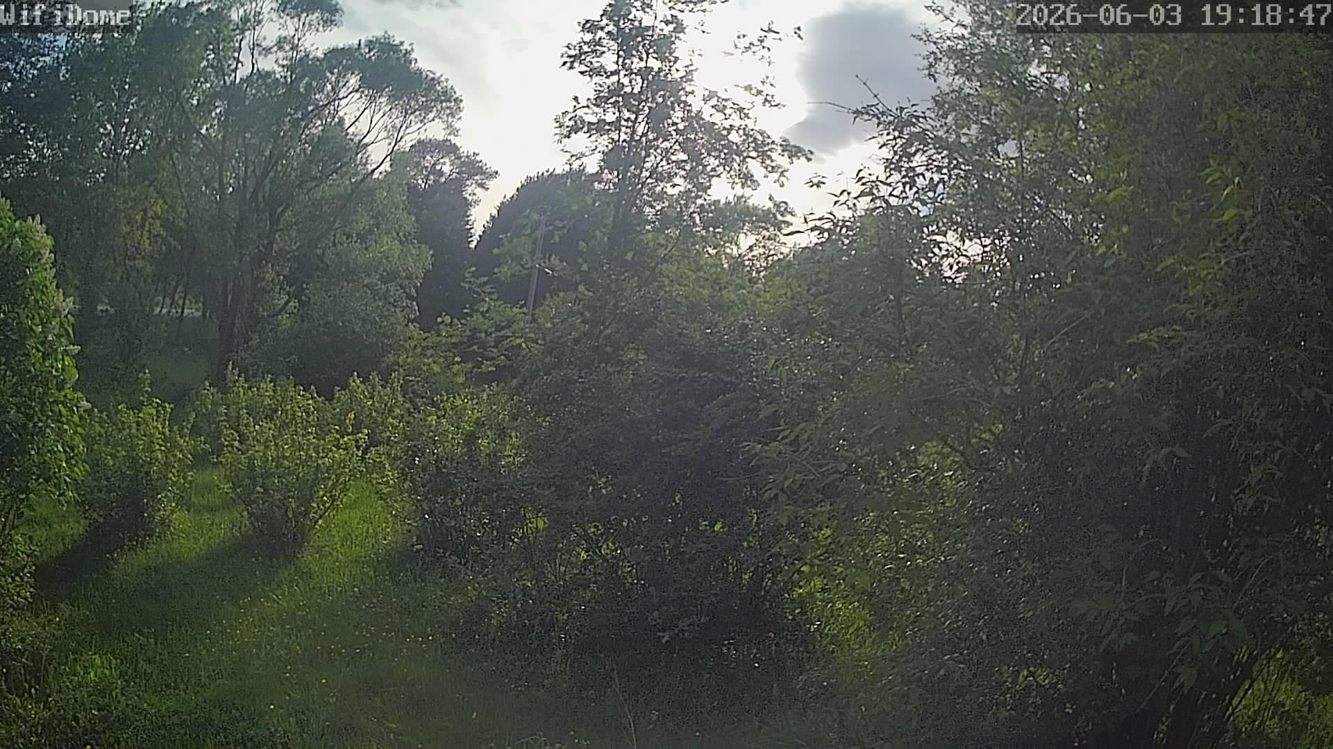 cam_dome